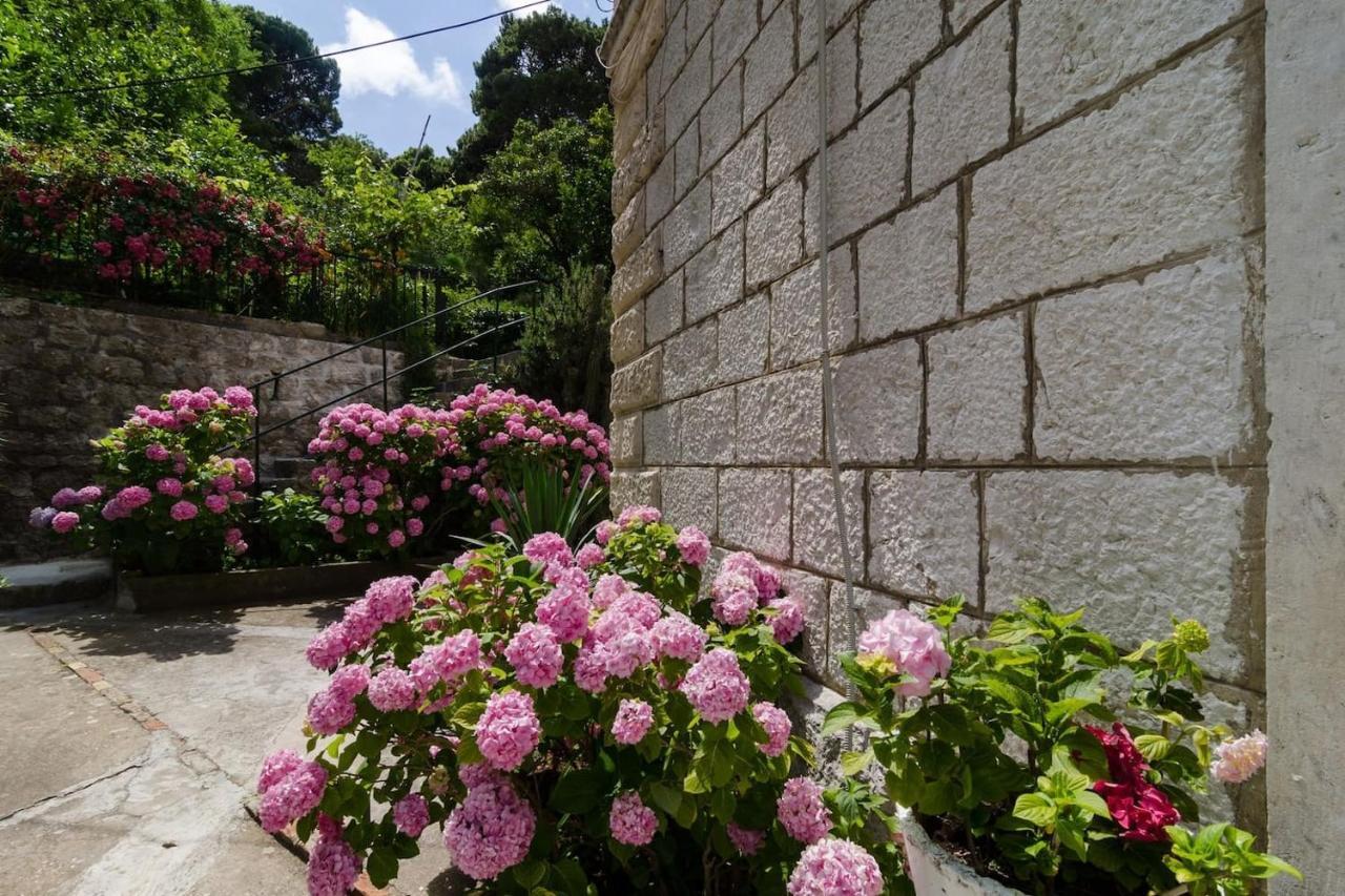 Apartment Djivo Dubrovnik Dış mekan fotoğraf